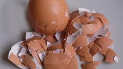 Meststof uit eierschalen voor kamerplanten: hoe doe je dat?