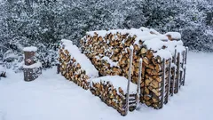 Hoe droog je hout in de winter? De Canadese methode om hout in de zon te drogen. Eenvoudig, effectief en ideaal voor zachthout.