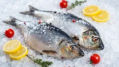 Dankzij de mini-aquariummethode blijven uw vissen bijna net zo vers als in zee.