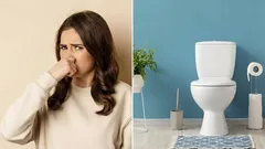 Hoe u onaangename geurtjes in het toilet kunt verwijderen — eenvoudige en natuurlijke oplossingen