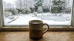 We zetten een mok met water op de vensterbank: waarom, wie weet?