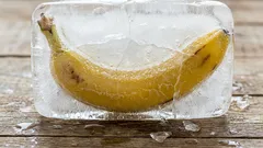 Waarom bananen invriezen en bewaren, en hoe ze vervolgens te gebruiken
