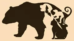 Deze test aan de hand van een afbeelding helpt je te bepalen welke eigenschappen bij jou het meest dominant zijn en wat je belemmert in de omgang met anderen.