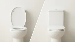 De vraag van de eeuw: moet je de wc-bril omlaag doen of niet? Een simpele gewoonte met een groot effect.